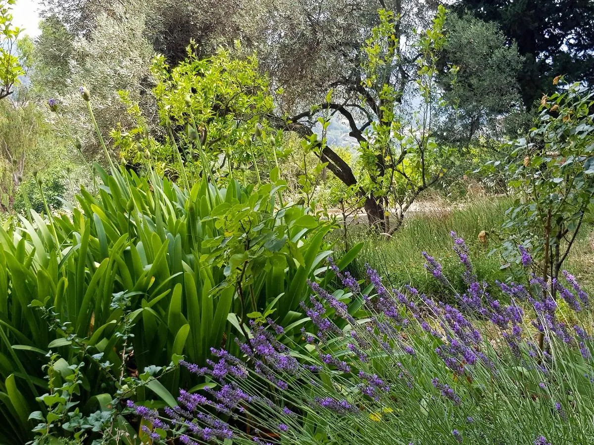 La Brise, Provenzialisches Appartement In Vence, Cote D'Azur, Fuer 6-8 Personen Apartment